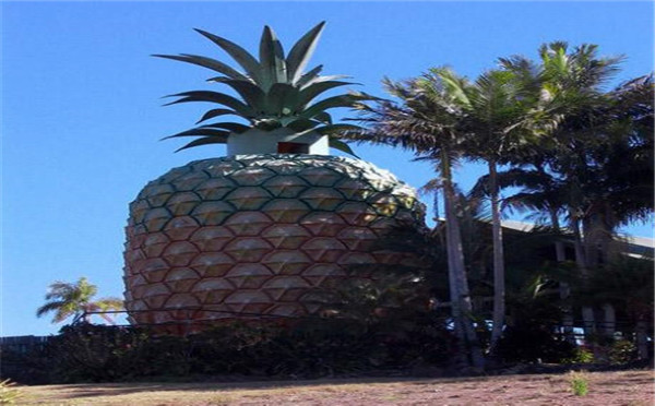 仿生建筑设计借鉴-菠萝Pineapple